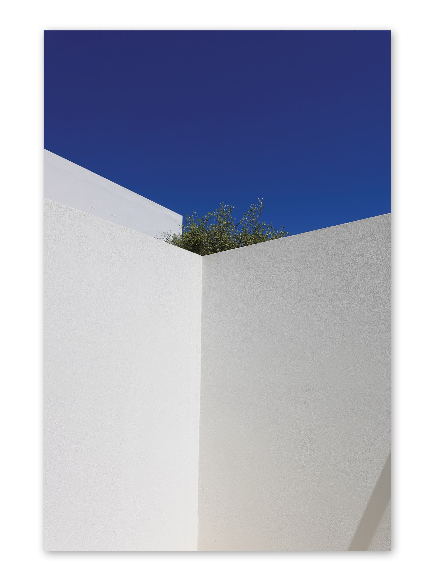 Weiße Architekturwände unter tiefblauem Himmel mit einem Olivenbaum, der über die Mauerkante hinausragt.